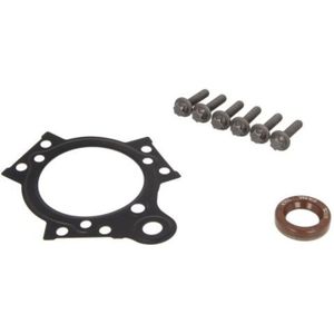 Reparatieset, brandstofpomp VDO A2C59512213