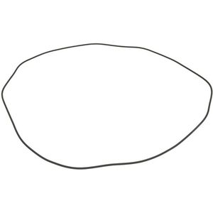 Versnellingsbak O-ring ZF 0634313840