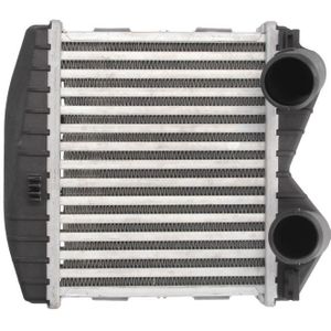Intercooler THERMOTEC DAM012TT