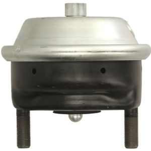 Wielcilinder KNORR-BREMSE BS 3326