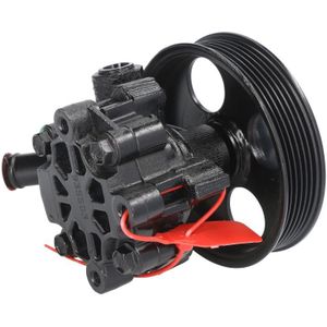 Hydraulische pomp, stuurinrichting LAUBER LAU 55.6242