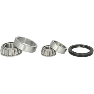 Wiellager BTA H11069BTA