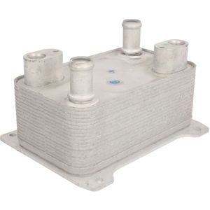 Olie radiator, motorolie THERMOTEC D4W010TT