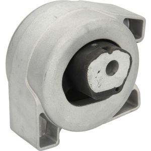 Motorsteun REINHOCH RH11-3029 links