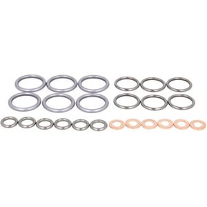 Pakkingset, injectieverstuiver DT Spare Parts 4.91179