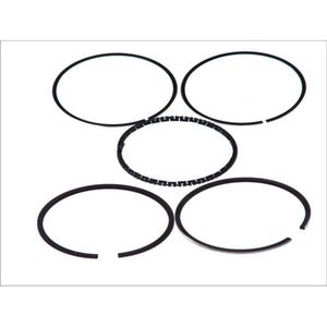 Zuigerveren set GOETZE 08-307500-00