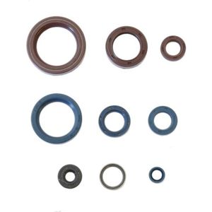 Motorpakkingset ATHENA P400170400330