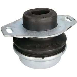 Motorsteun REINHOCH RH11-1052 links