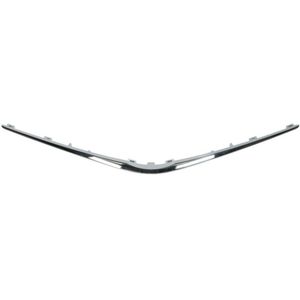 Sierlijst/beschermstrip, radiatorrooster BLIC 6502-07-8156210Q