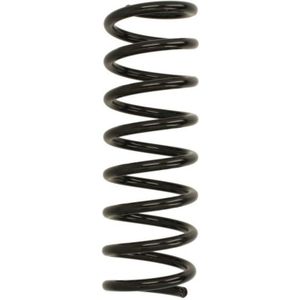 Ophangveer enkele veer ERL (standaard vervanging) EIBACH R10430