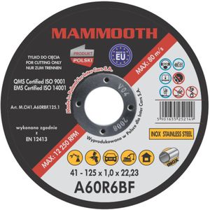 Snijschijven MAMMOOTH M.CI41.A60RBF.125.1/B