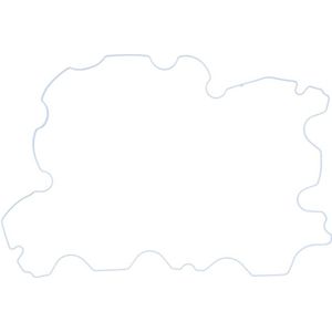 Kleppendeksel pakking REINZ 71-41824-00