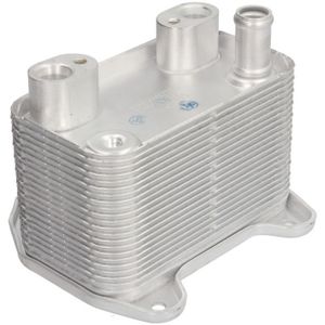 Olie radiator, motorolie THERMOTEC D4M012TT
