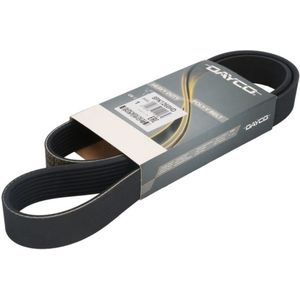 V-riem DAYCO 8PK1260HD