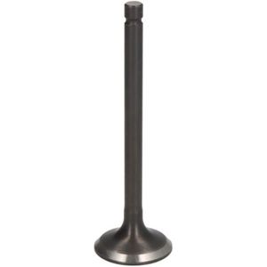 Uitlaatklep PARSUN F20-05030002