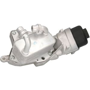 Olie radiator, motorolie THERMOTEC D4X010TT