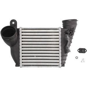 Intercooler THERMOTEC DAA009TT