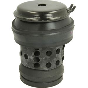 Motorsteun REINHOCH RH11-0018