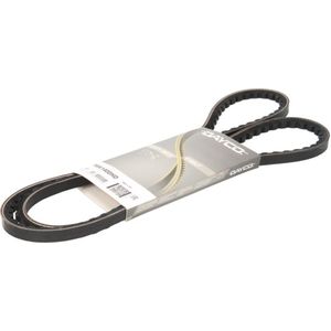 V-riem DAYCO 10A1400HD