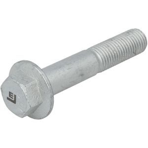 Schroef, zeskantig, gegalvaniseerd LEMA LE9020052.1