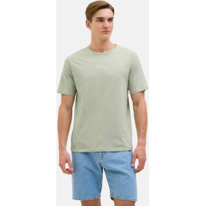 12273785 desert Sage