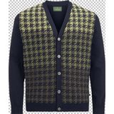 Strickjacke DUKE SIOROS Charles Colby grün