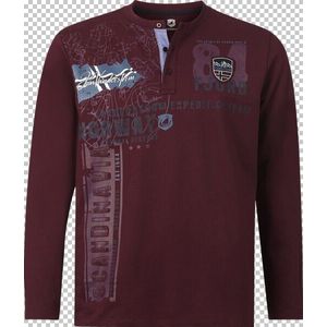 Sweatshirt FIONN Jan Vanderstorm dunkelrot