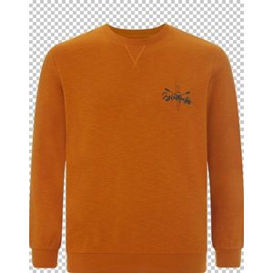 Sweatshirt FREYVARD Jan Vanderstorm orange