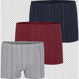 3er Pack Retropant LORD HILLNEW Jan Vanderstorm dunkelblau