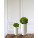 Buxus Bol In Pure Soft  L