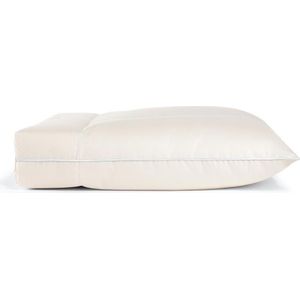 Kussen Sleepy Ergo Pillow - Biozen