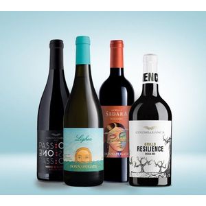 Vinolisa Selezione Sizilien Box