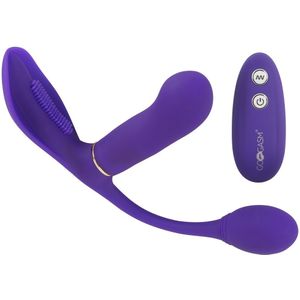 Pussy and Ass Vibrator - Paars