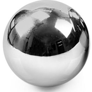 Solide RVS Bal - 55 mm