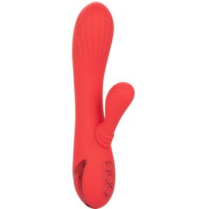 Rabbit Vibrator Palisades Passion - Rood