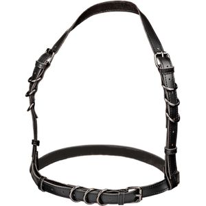 Halter Harnas met gespen