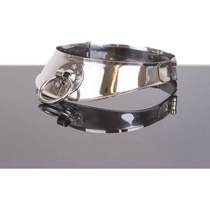 Stalen Halsband