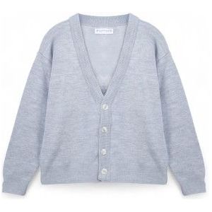 Family Firstvoor mannen. SWF2501 Vest LFNF grijs (M), Casual