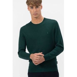 elPulpovoor mannen. 11040127148 Basis Trui Logo Groen (M), Casual, Viscose
