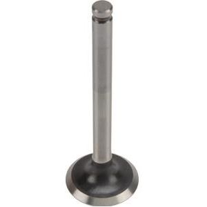 Kawasaki Uitlaatklep