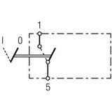 Schakelaar - Kantelactivering - 2 Aansluitingen - Zonder Comfortfuncties