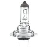 Raico Gloeilamp 24V 70W H7 PX26d