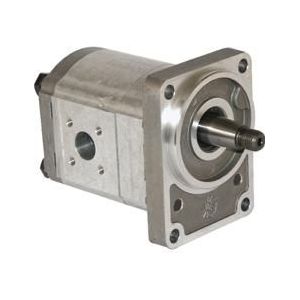 Casappa Tandwielpomp PLP20.25D3-55B2-LBE/BC-N EL