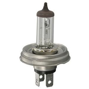 Hella Gloeilamp 12V 60W H4 P45t R2