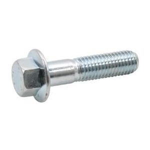 Kramp Flensbout M10x30 verzinkt DIN6921