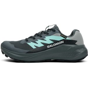 Salomon Alphaglide GTX Dames