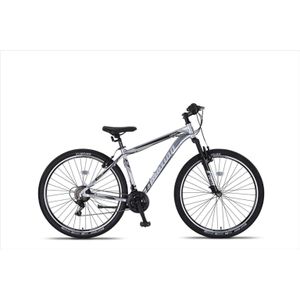 Umit  Motion 29 inch Mountainbike 21V - Chroom