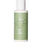 Re-born Hairsolution Color Save Shampoo (70 ml)