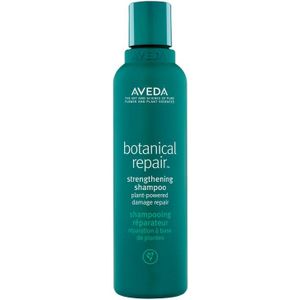Aveda Botanical Repair Shampoo (200ml)