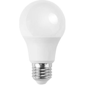 LED lamp E27 12W 220V | 6000K - Daglicht wit (860)